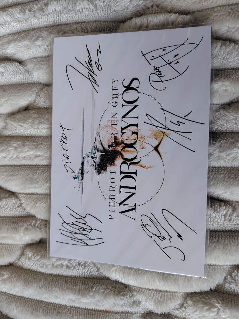 ANDROGYNOS 2017 豪華版DVD PIERROT DIRENGREY