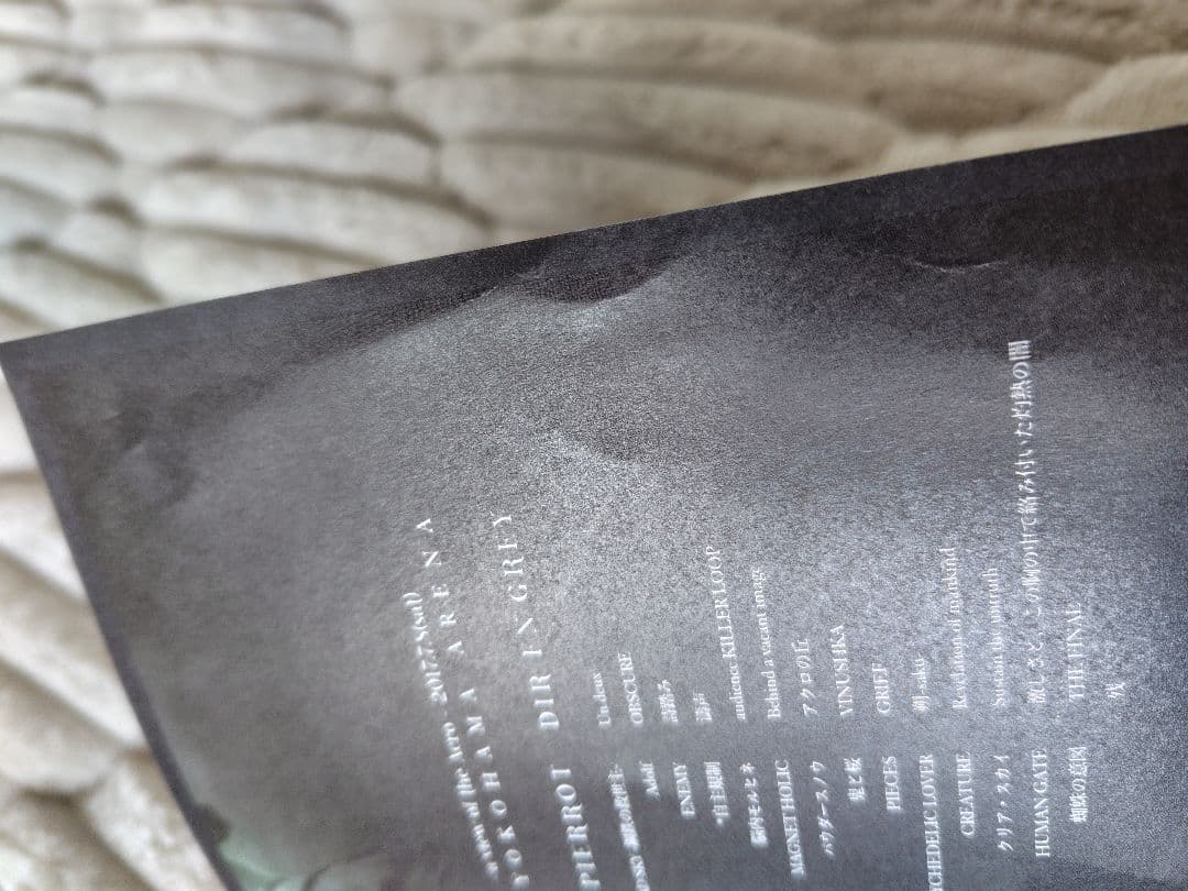 ANDROGYNOS 2017 豪華版DVD PIERROT DIRENGREY