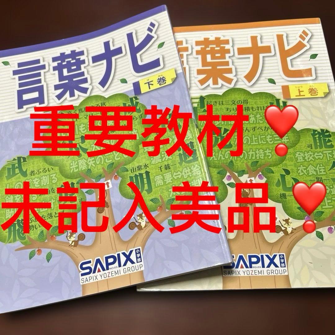 19-21ゆ　重要教材　サピックス　SAPIX 言葉ナビ 上巻・下巻　美品❣️