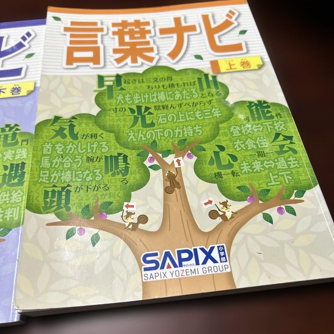 19-21ゆ　重要教材　サピックス　SAPIX 言葉ナビ 上巻・下巻　美品❣️