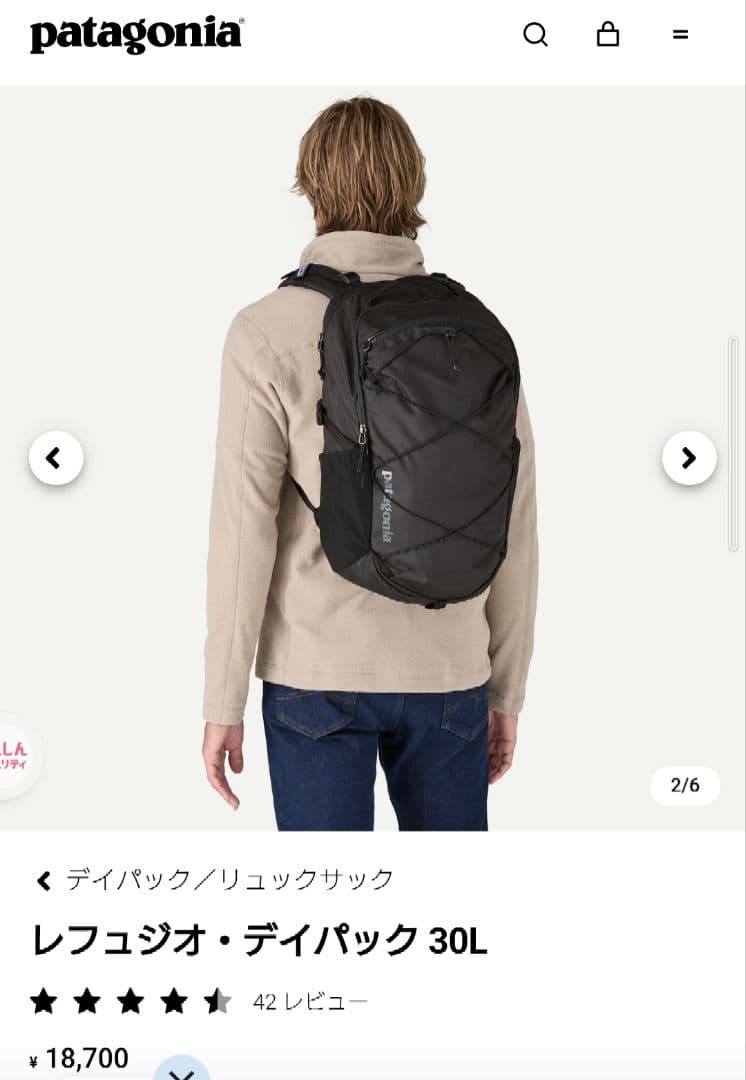 Patagonia　パタゴニア レフュジオ・デイパック 30L 新品