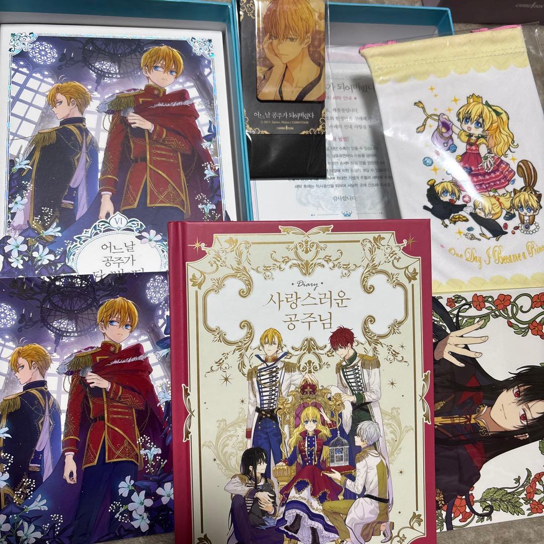 ある日、お姫様になってしまった件について 韓国版 ある姫 豪華限定版 限定 原作