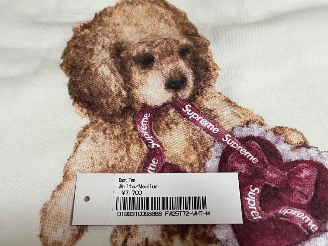 トップス Supreme Dust Tee \"White\" M