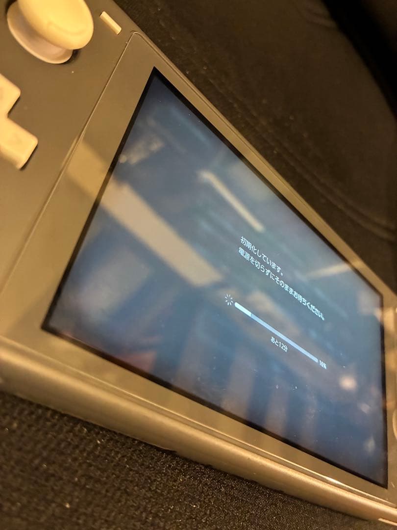 美品 Nintendo Switch Lite グレー