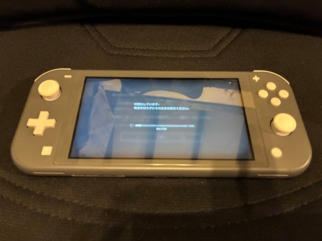 美品 Nintendo Switch Lite グレー