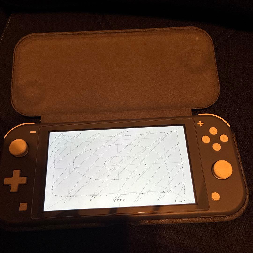 美品 Nintendo Switch Lite グレー