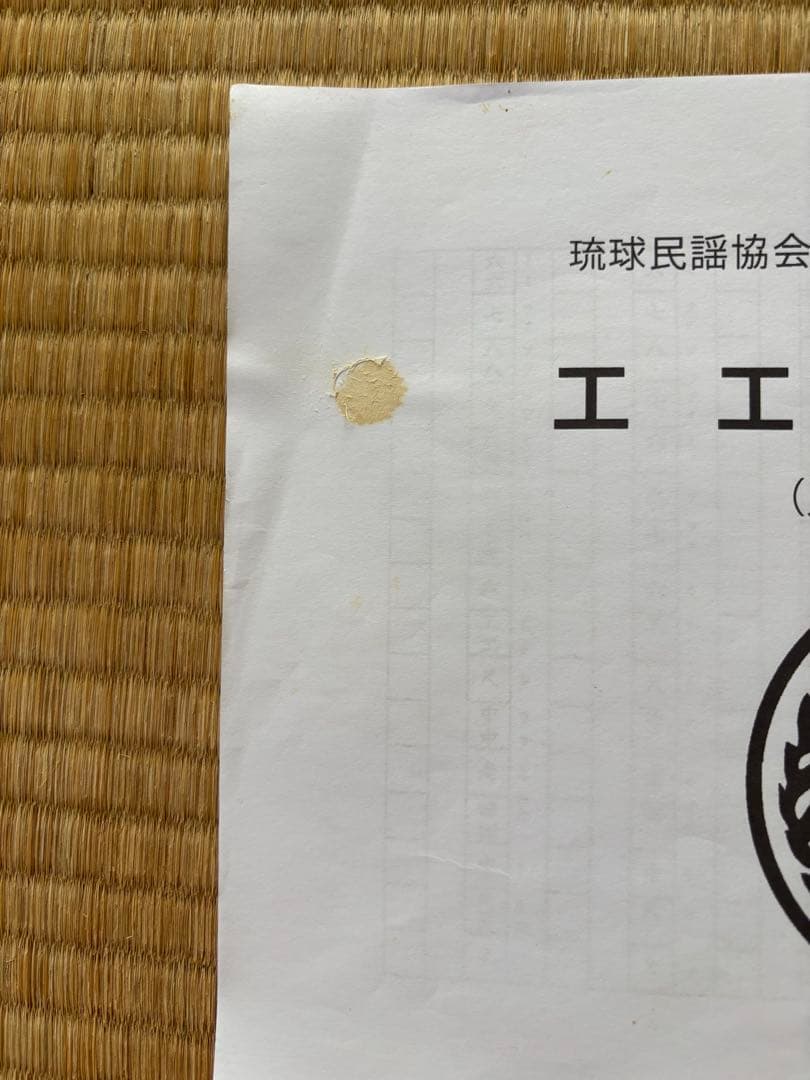 三線　本蛇皮強化張り　美品