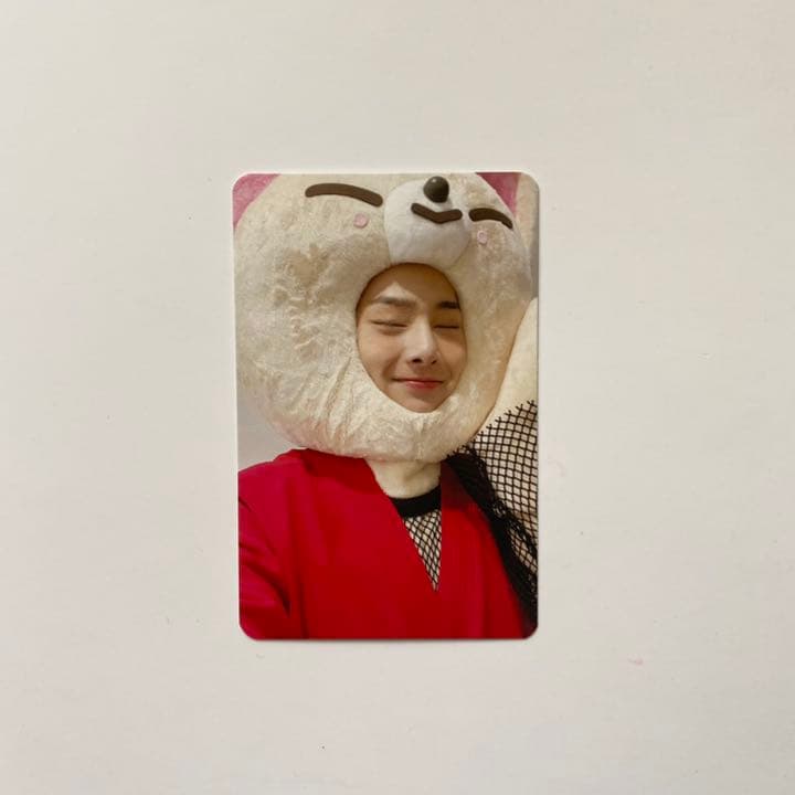 stray kids アイエン　skzoo トレカ