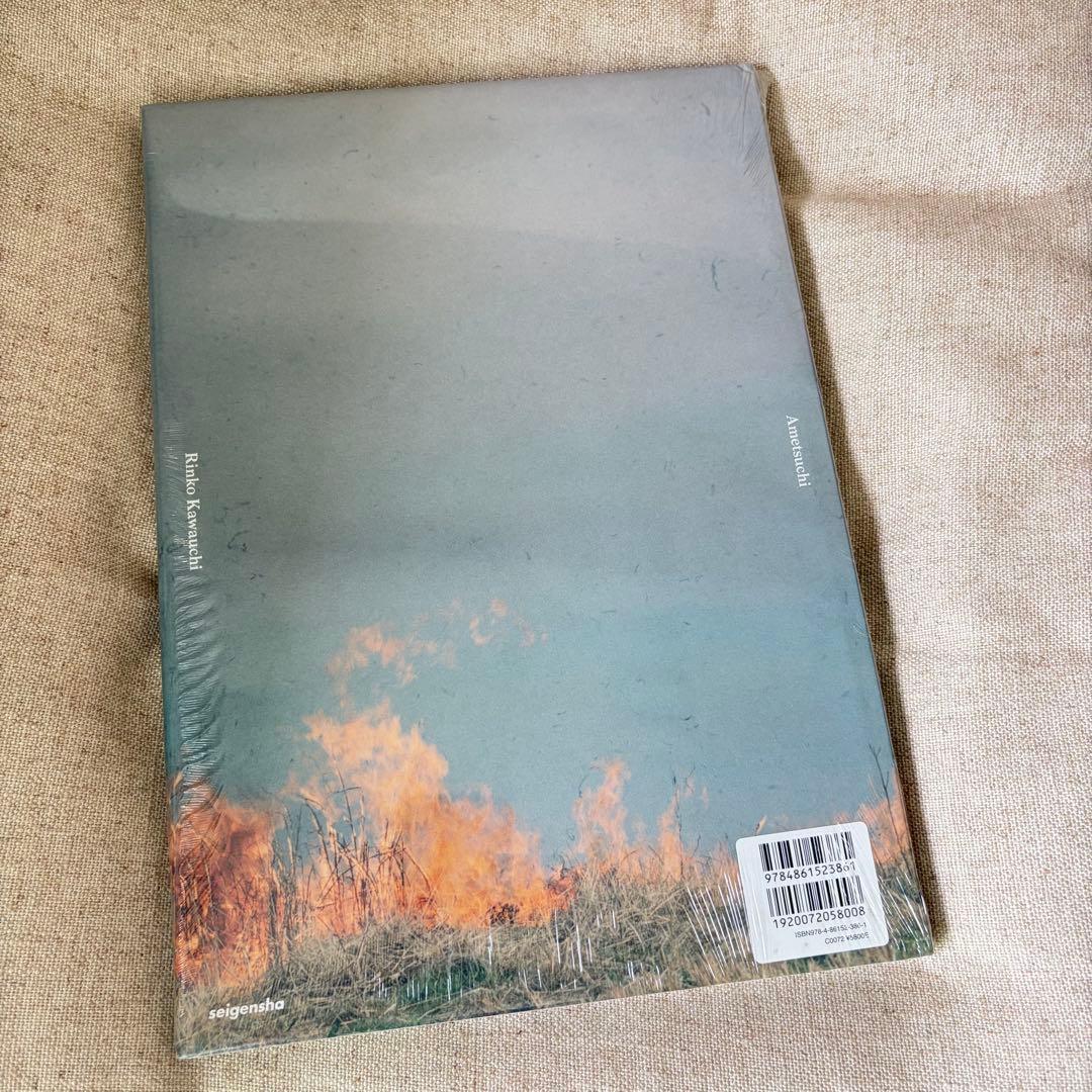 川内倫子　あめつち