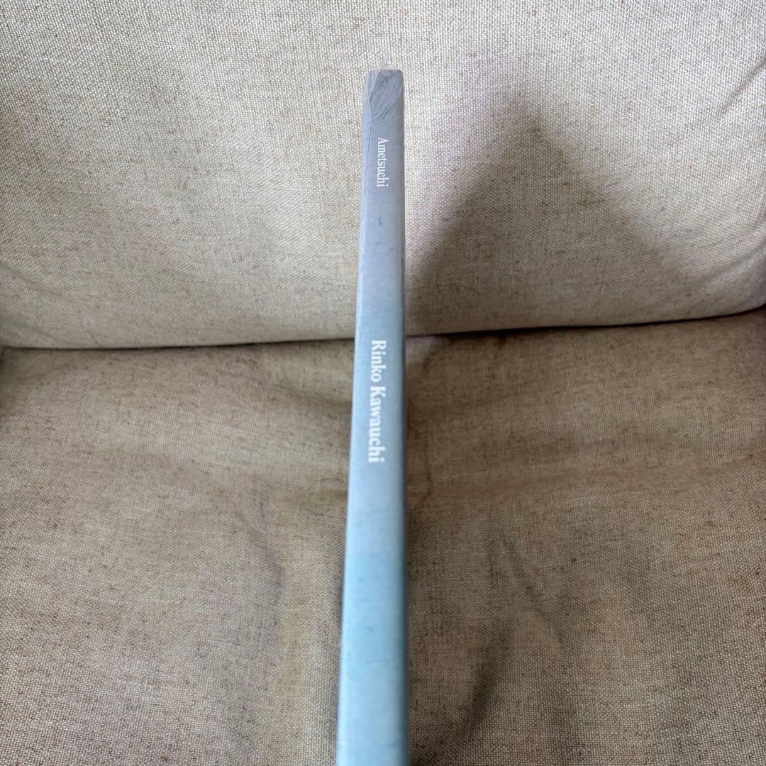 川内倫子　あめつち