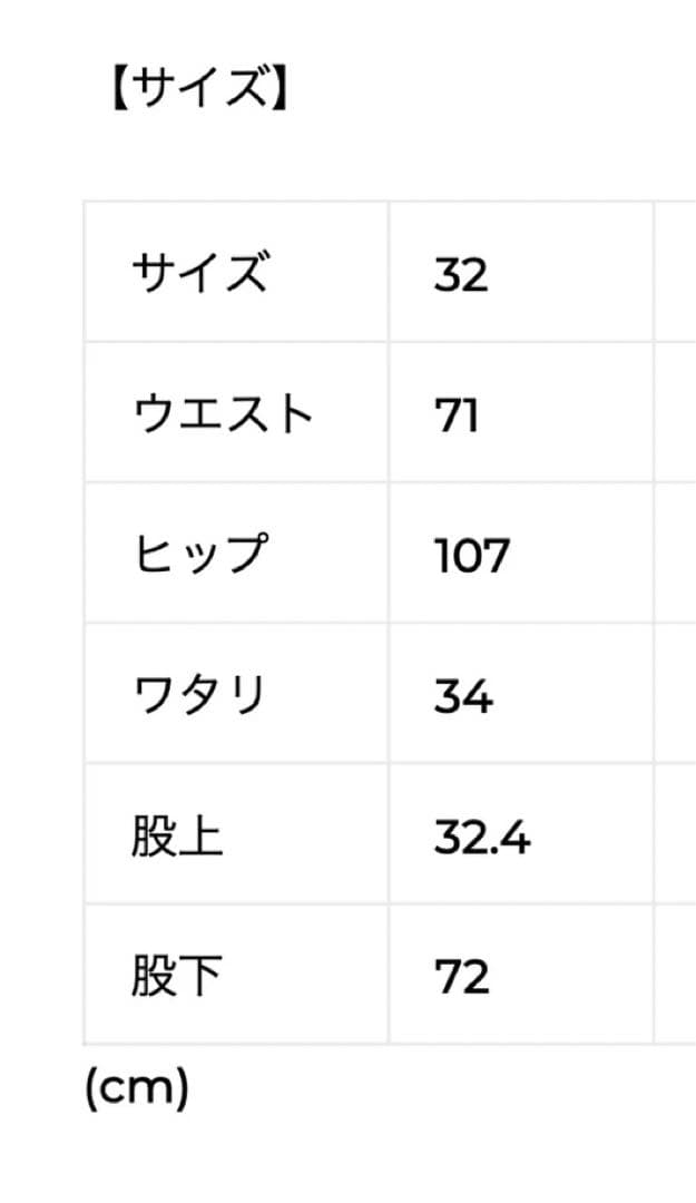 SHISHIKUI Painter pantsシシクイ サイズ32