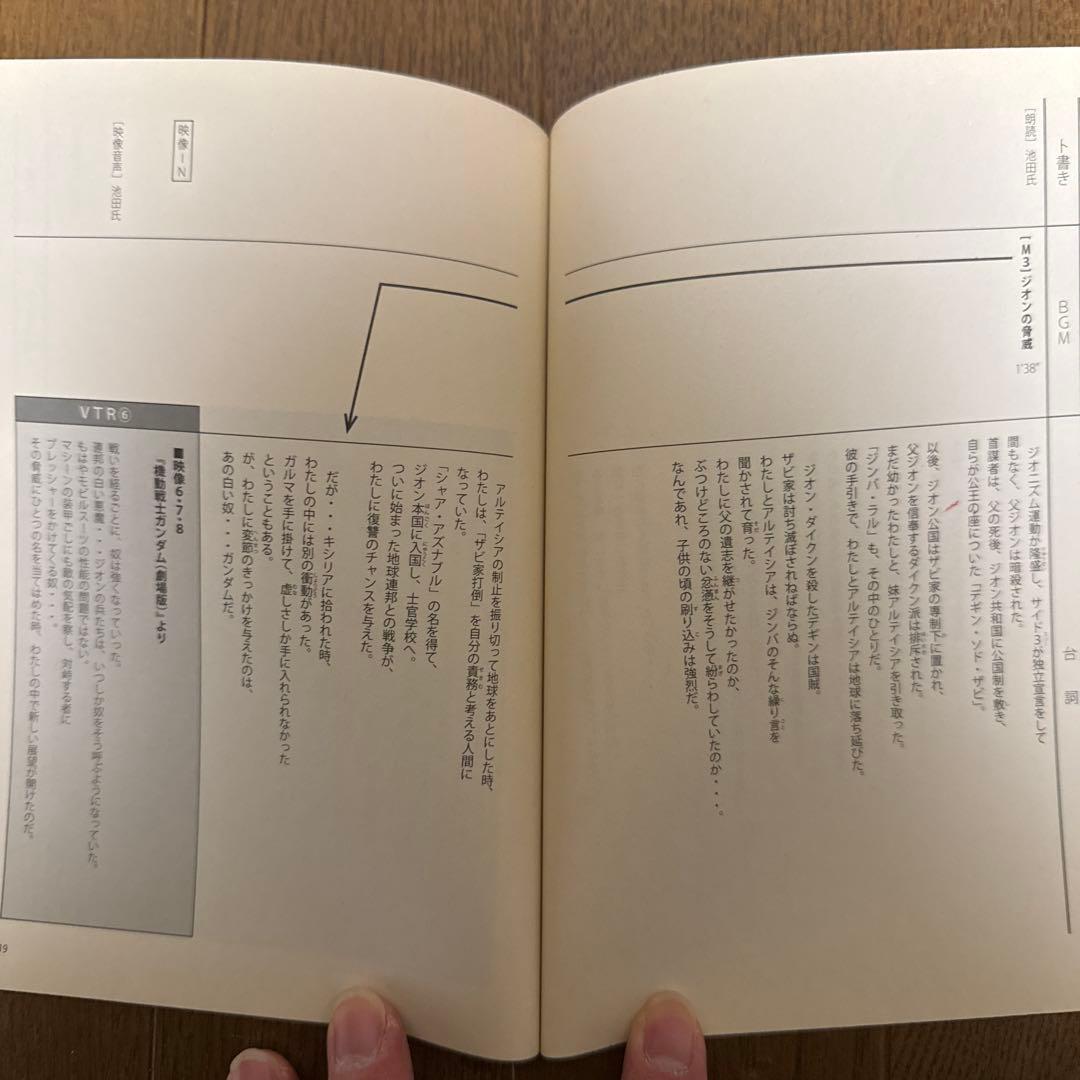 ガンダム　赤の肖像　DVD等