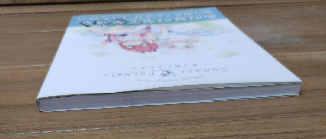 夏の眩しさの中で Official Another Story