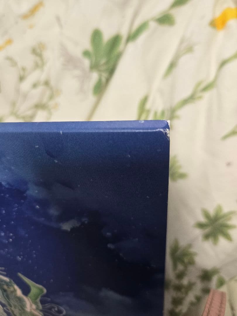 で*ん様 XG AWE レコード vinly トレカなし