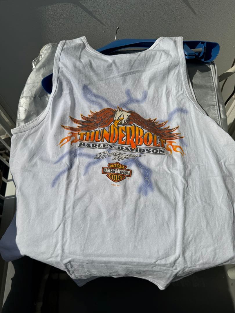 A*H様 00s Harley-Davidson Thunderbolt タンク