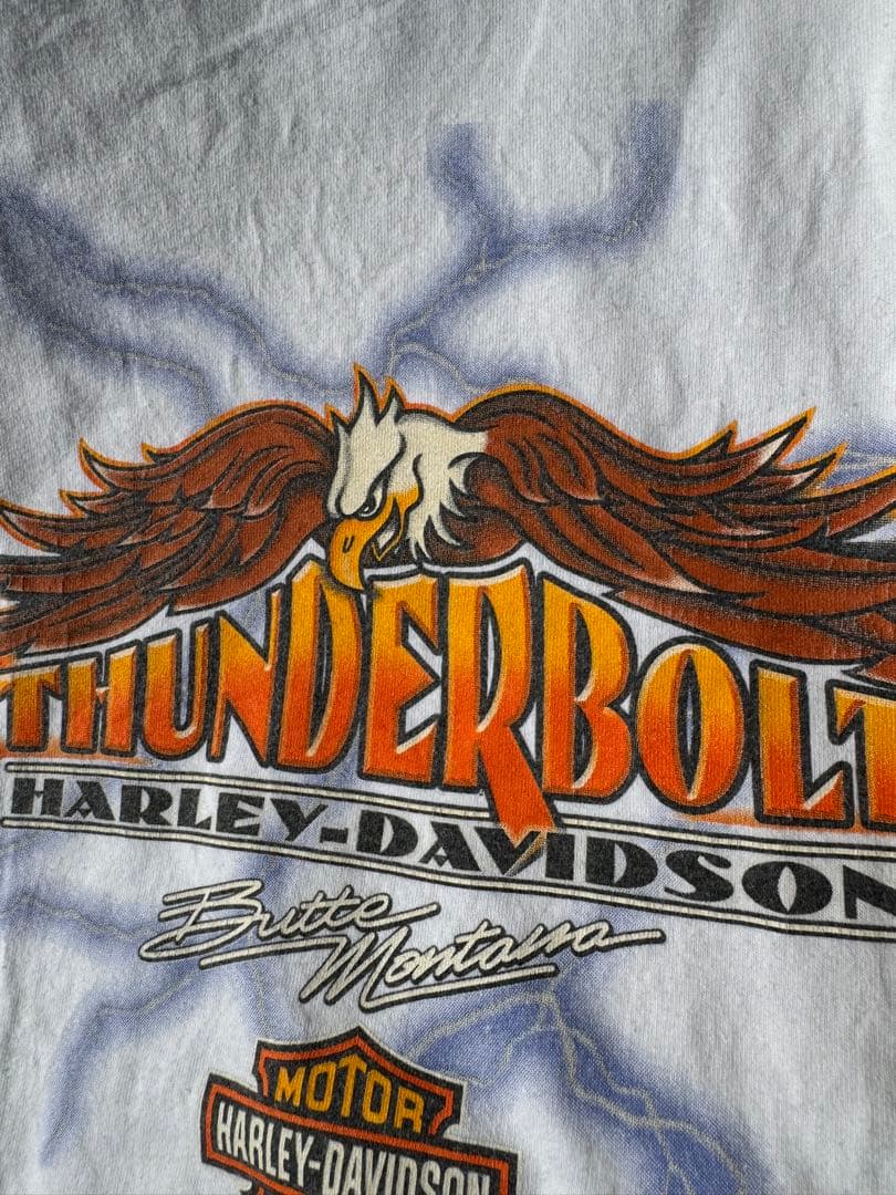A*H様 00s Harley-Davidson Thunderbolt タンク