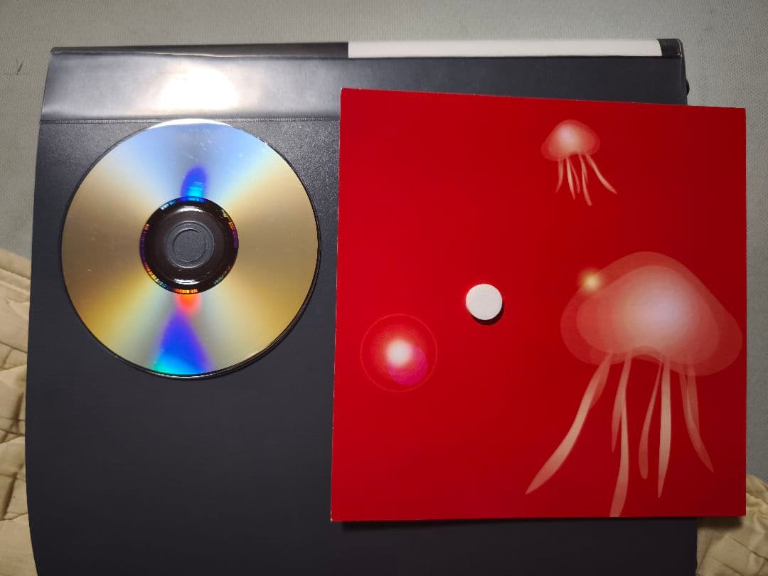 楊丞琳　サイン入りCD 他　チラシ等