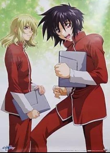 機動戦士ガンダム　SEED DESTINY リミデットポスター3 全６種セット