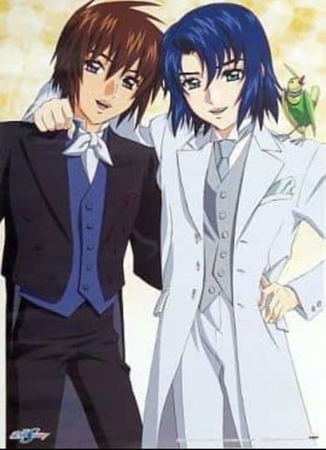 機動戦士ガンダム　SEED DESTINY リミデットポスター3 全６種セット