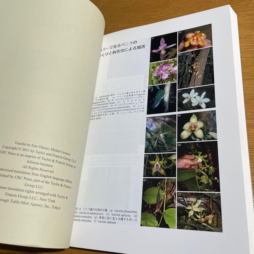 Vanilla バニラのすべて　起源　生態　栽培　生産　利用を網羅