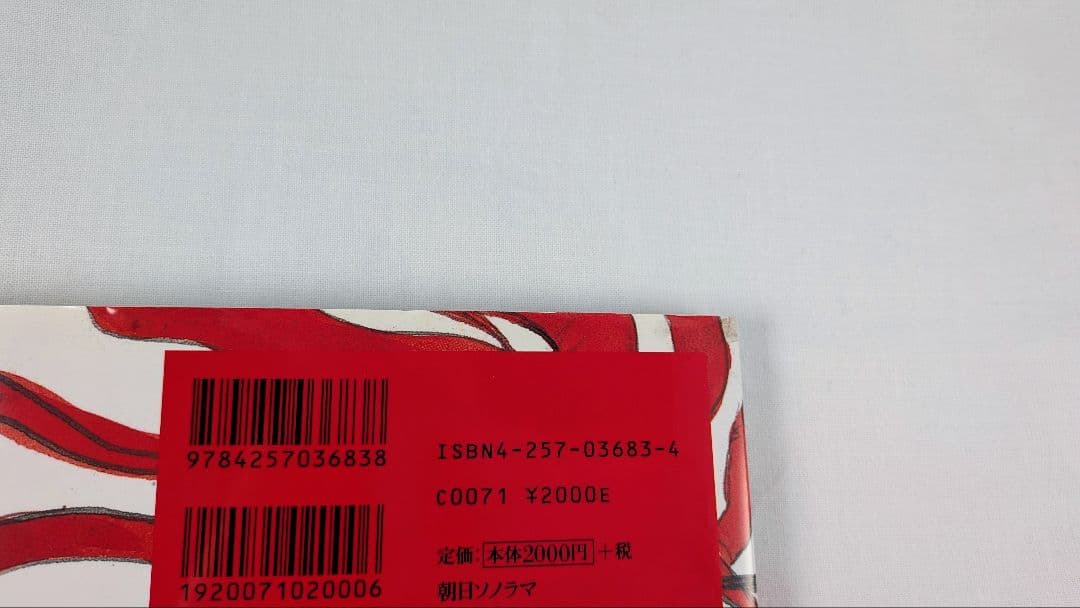 【絶版・希少本】天野喜孝 画集 AMANO FIRST 帯付き