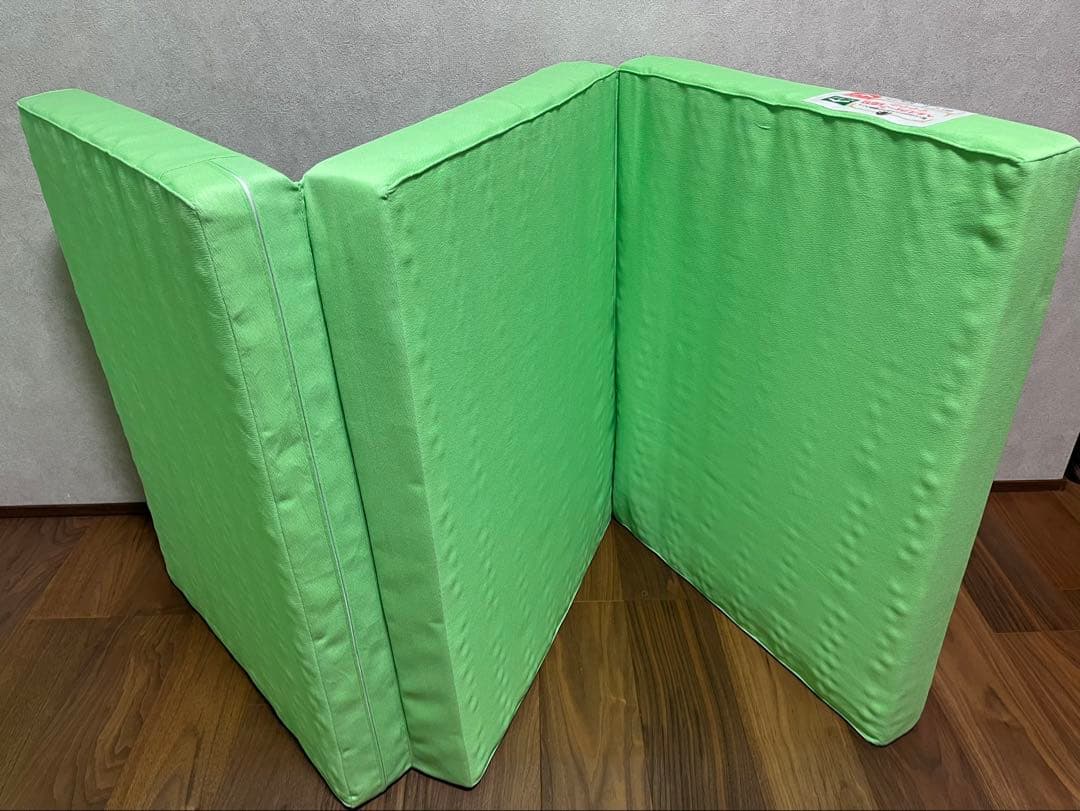 ヘルスウェーブゴールドジュニア【中古美品】専用シーツ、ケース付