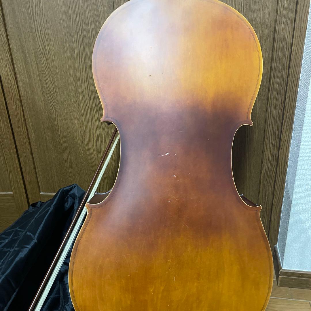 Hallstatt ハルシュタット　引き取りのみ