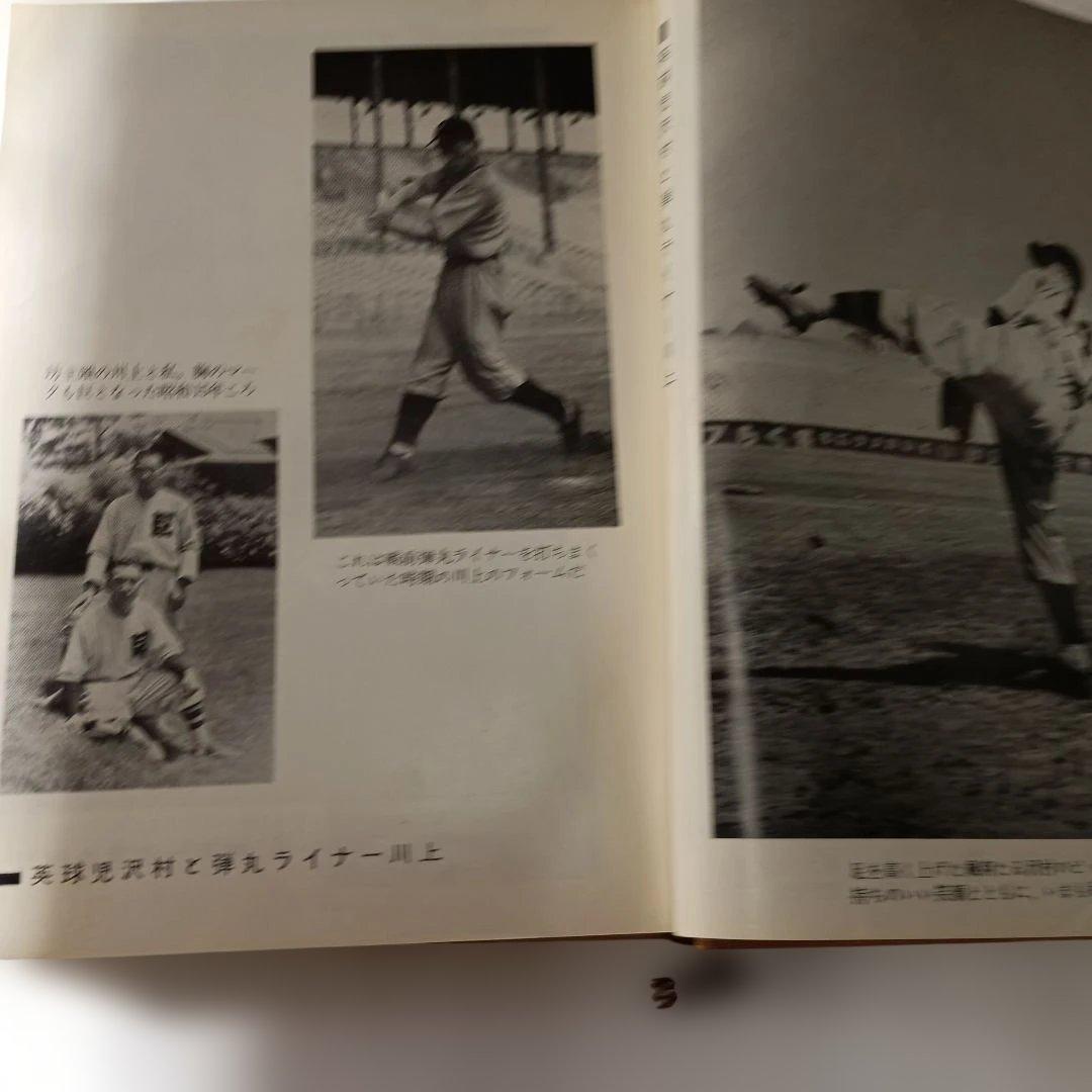 プロ野球風雪三十年の夢 藤本定義　著