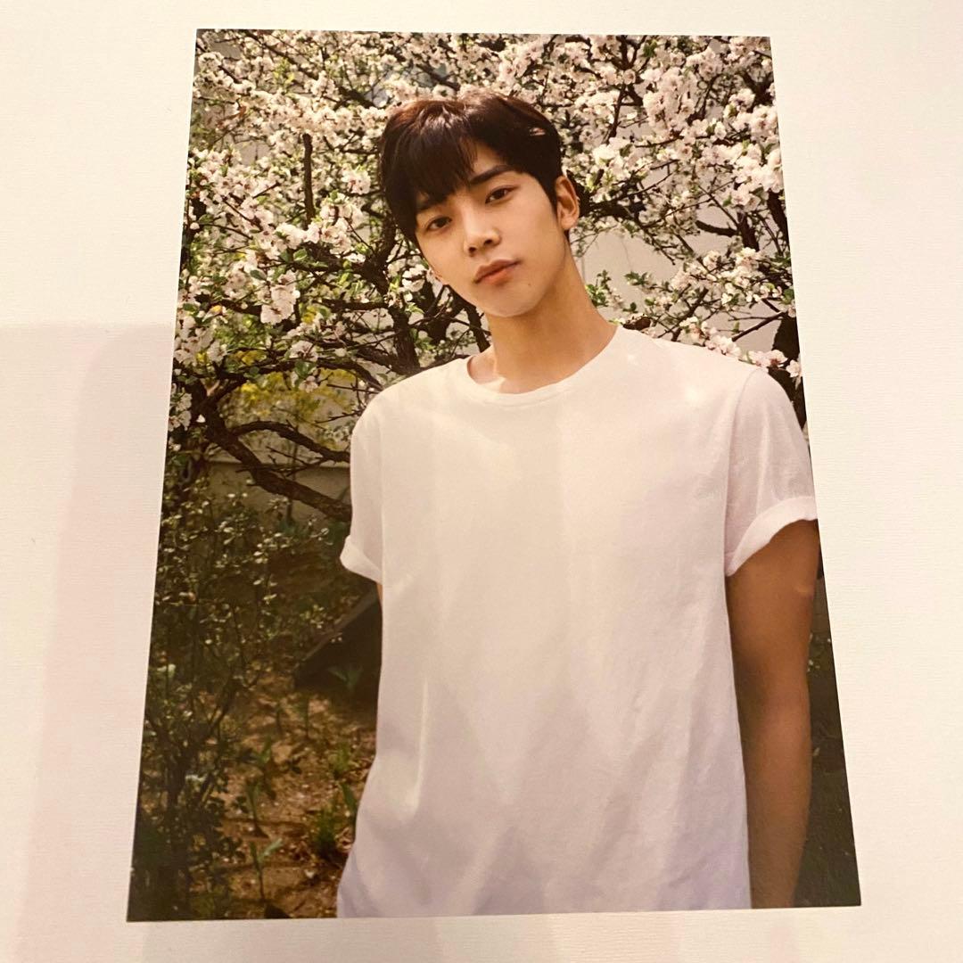 sf9 neoz ロウン ポストカード