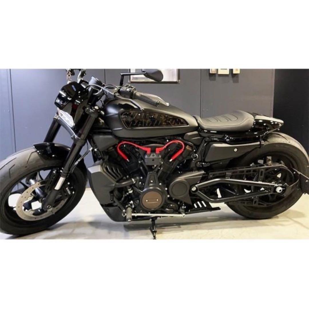 【希少品】Pine Valley ULTRA シリコンプラグコード