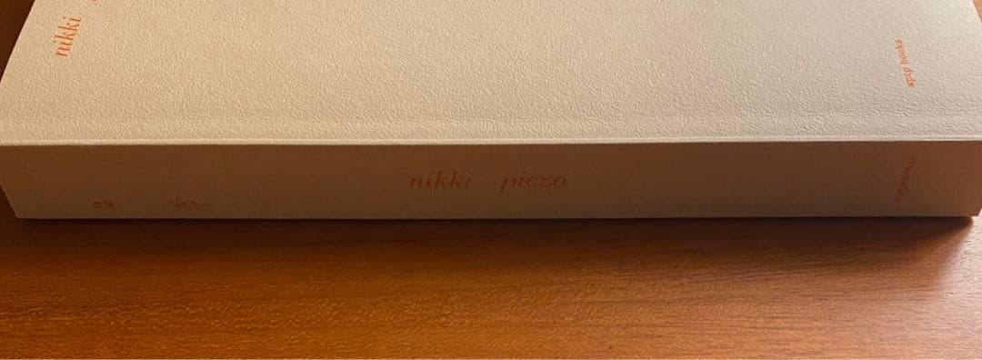 nikki piczo 日記 ピクゾー aptp books