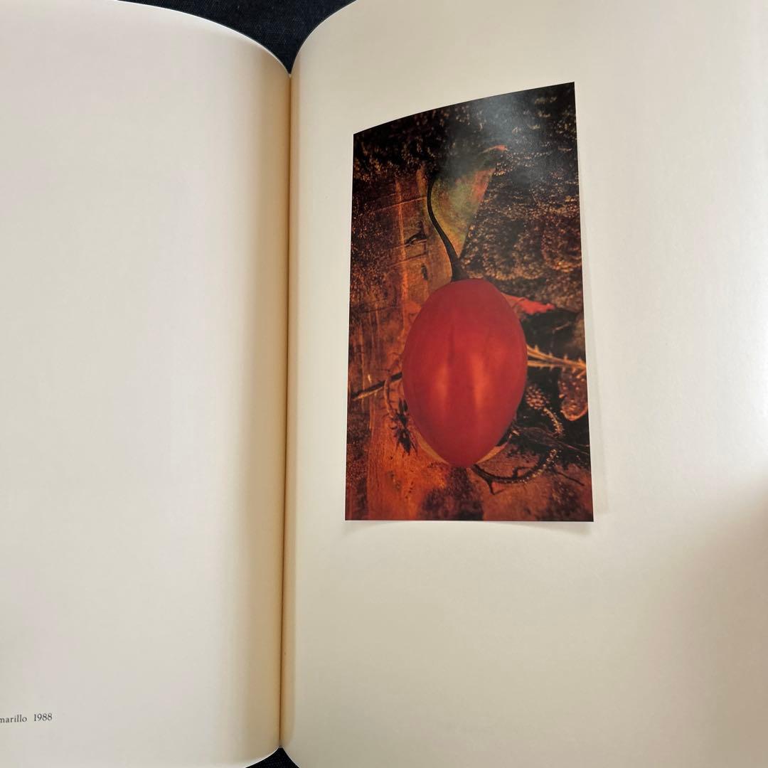 【絶版写真集】 上田義彦 INTO THE SILENT LAND