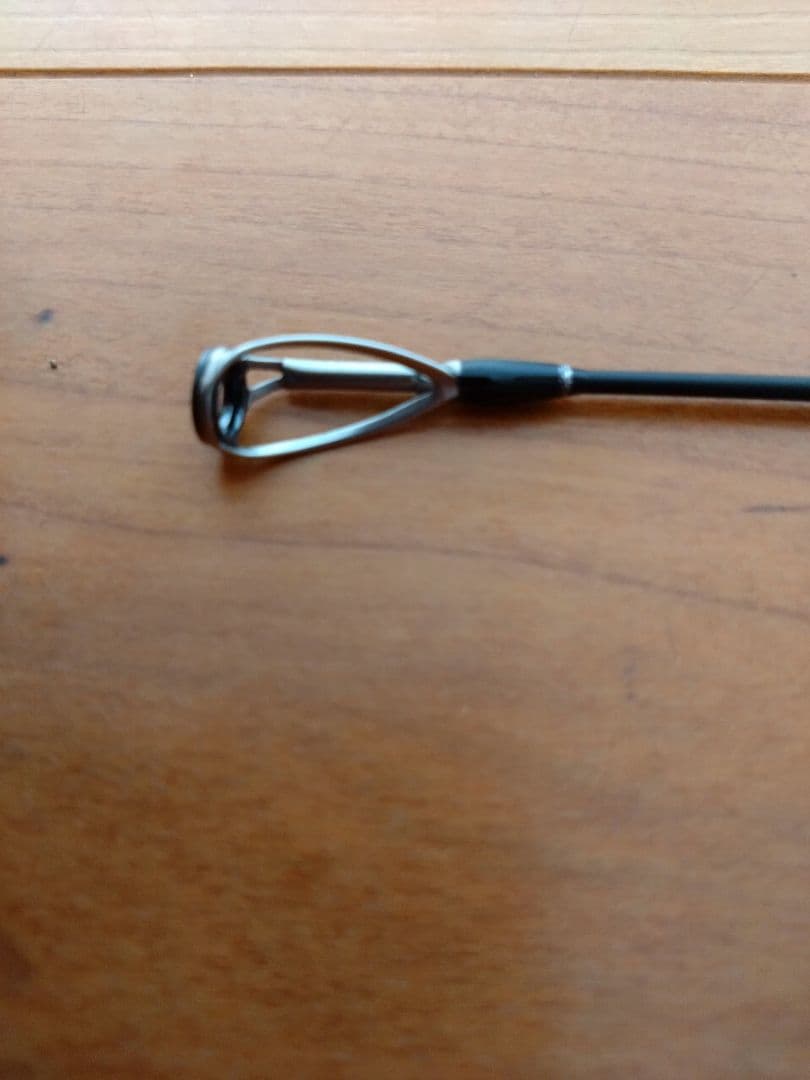 トランスセンデンス　レイトブルーミングス