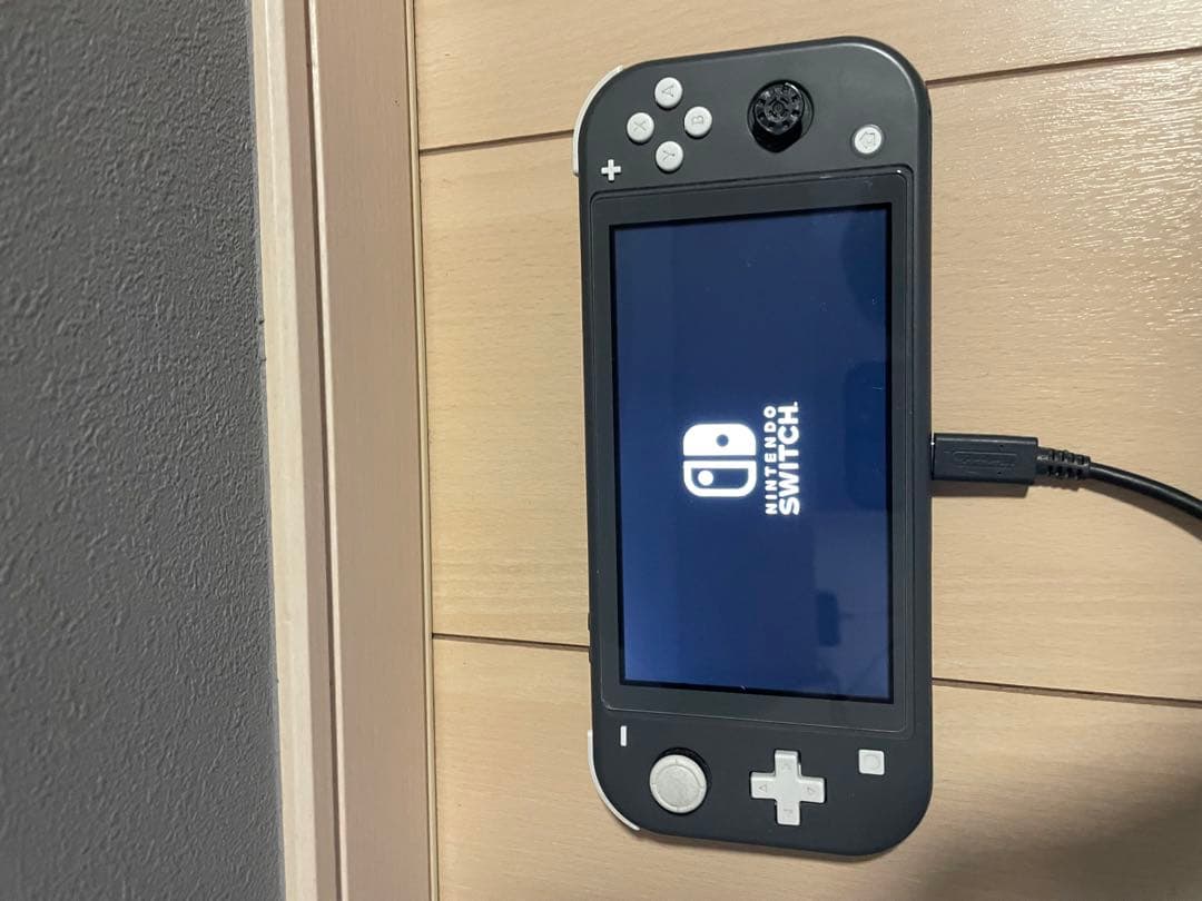 Nintendo Switch Lite グレー 本体 充電中
