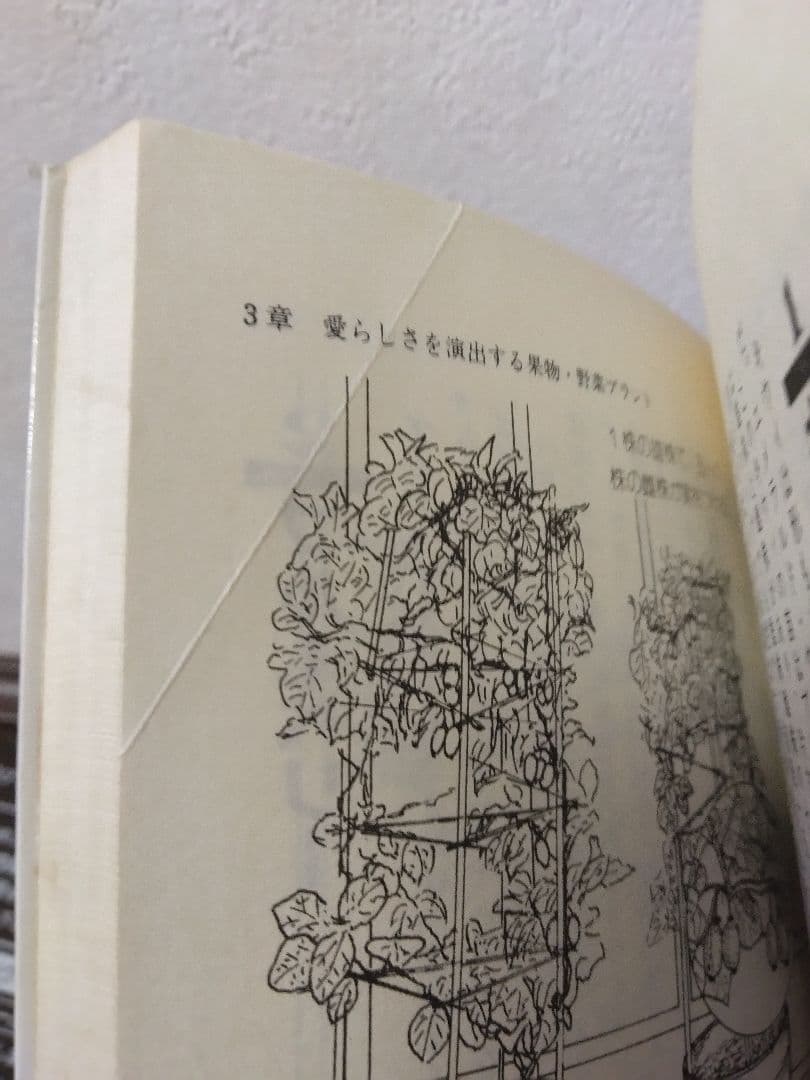 グリーンインテリア入門　森山恵司