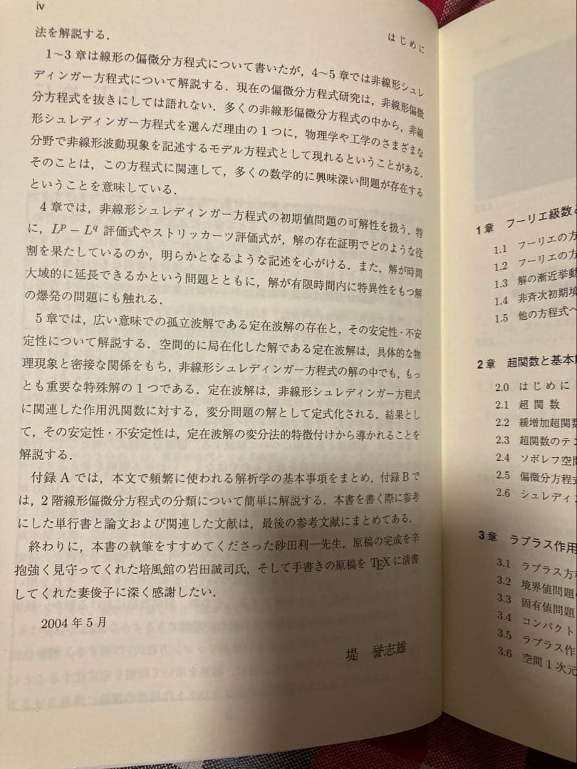 偏微分方程式論 : 基礎から展開へ