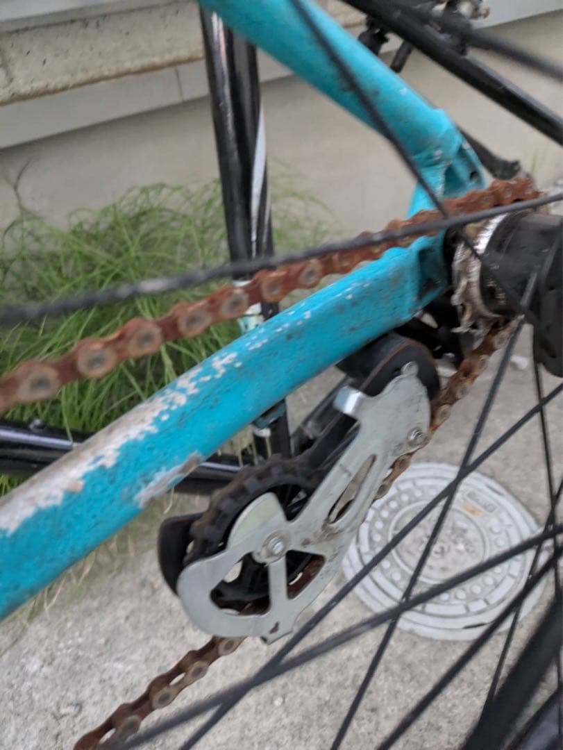 【訳あり】GIANT タロン