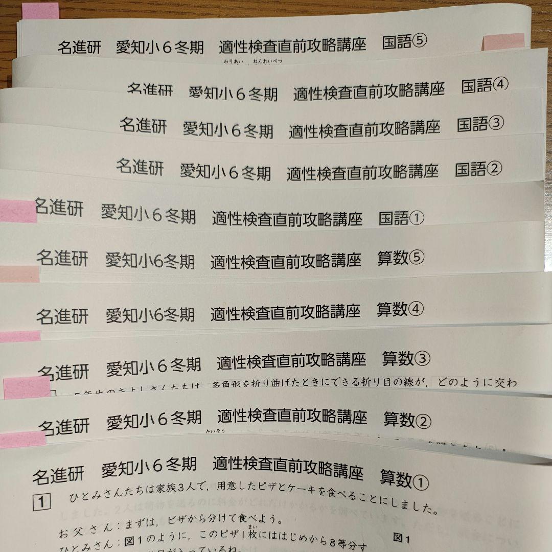名進研　愛知県公立中高一貫 小6冬期 適性検査直前攻略講座プリント
