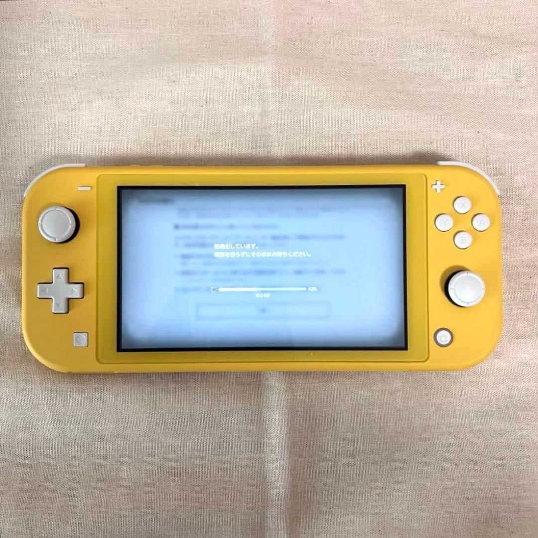 【美品・動作確認済み】Switchライト（イエロー）スティックカバー、イヤホン付