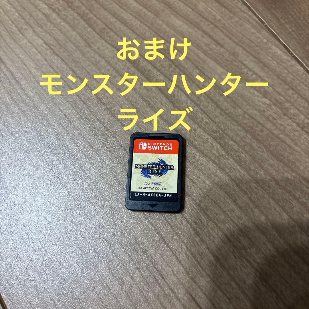 【美品】完品！任天堂Switch Lite 本体＋モンハンRISE