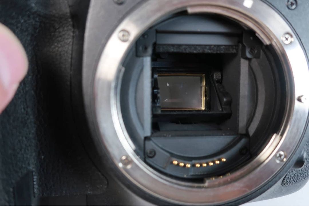 ハッピーサンデー