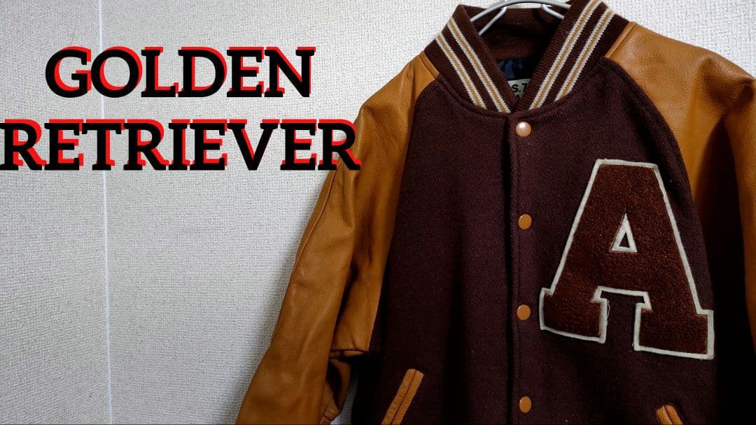 レア!ヴィンテージ!ゴールデンレトリバー スタジャン アワード レザー