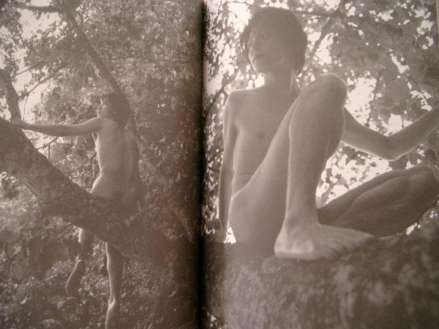 及川光博　●　続・欲望図鑑