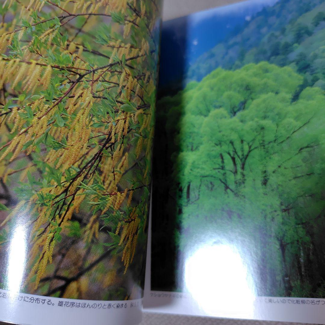 増補改訂新版　日本の樹木