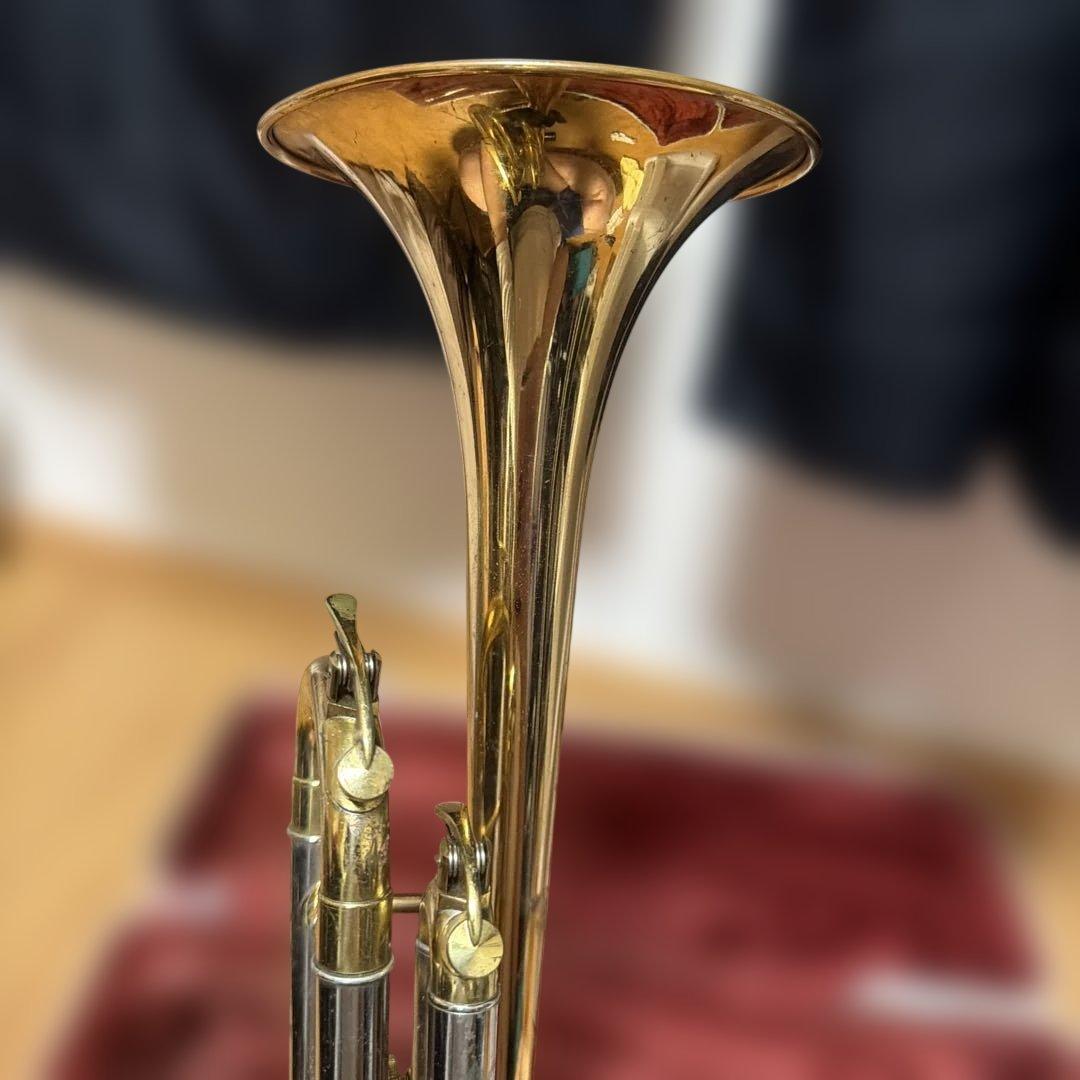 トランペットニッカン