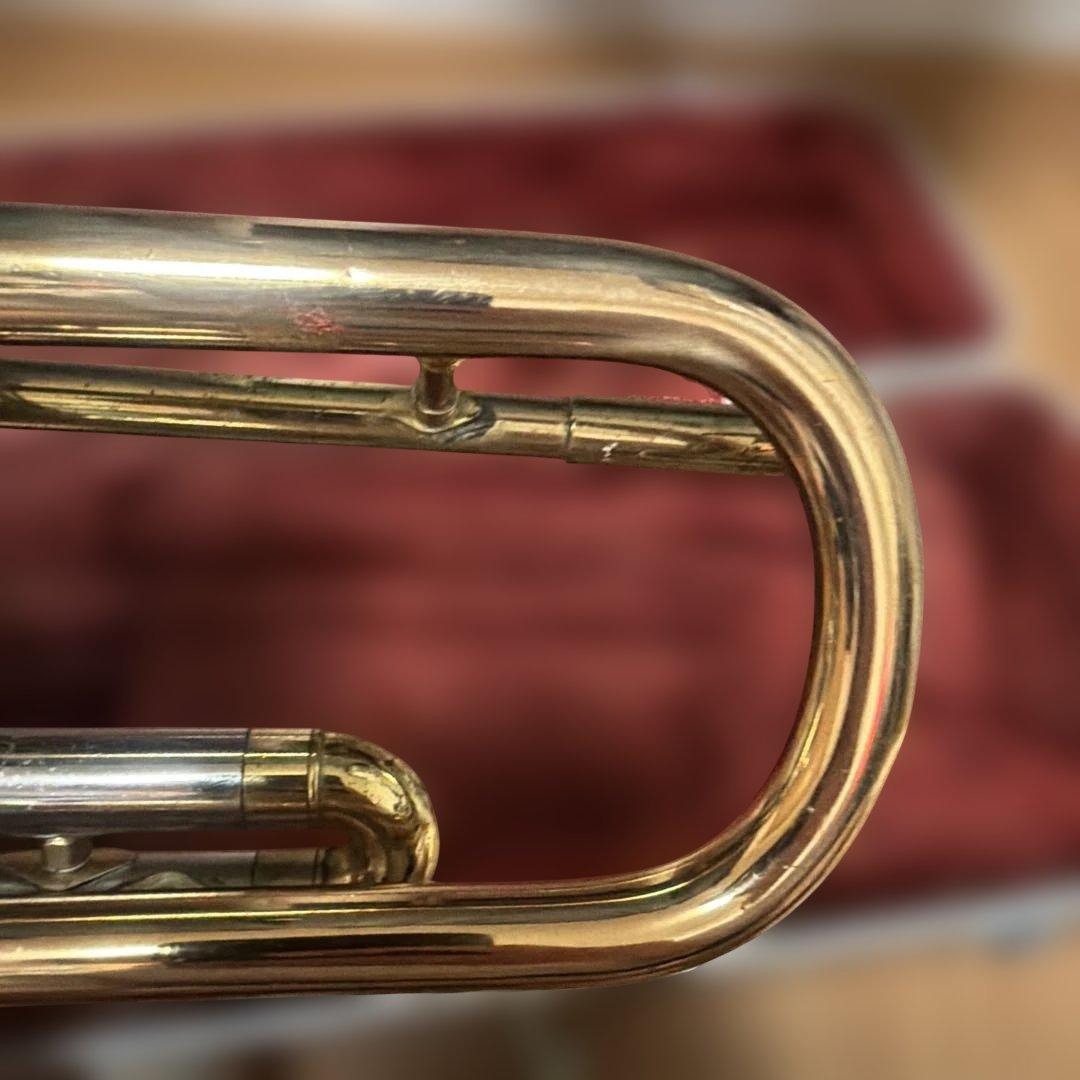 トランペットニッカン