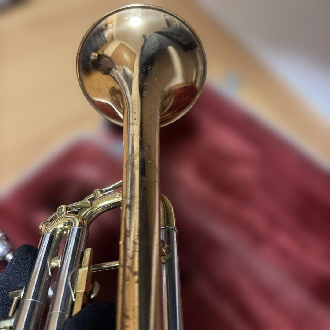 トランペットニッカン