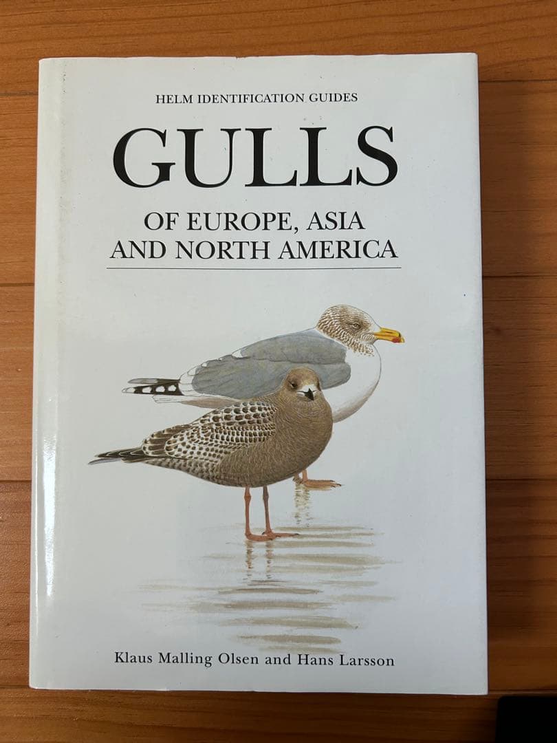 洋書 Gulls of Europe, Asia and North America