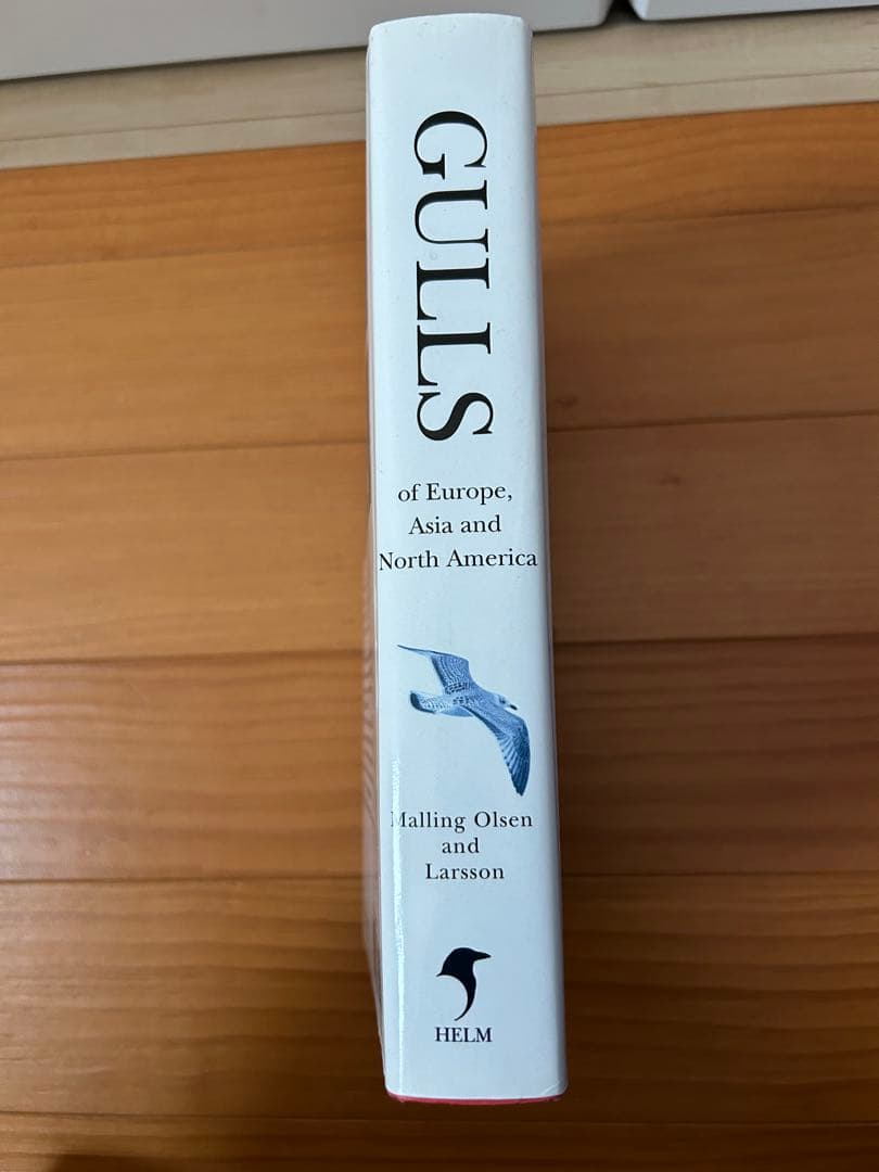 洋書 Gulls of Europe, Asia and North America