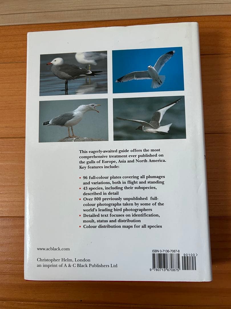 洋書 Gulls of Europe, Asia and North America